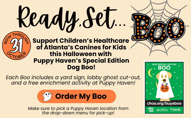 Dog Boo Pop-Up